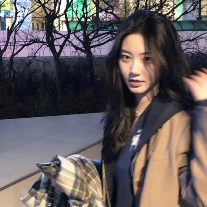 做一只鸟真不容易